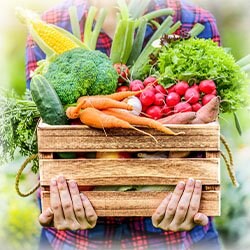 Photo of Fresh Fruit and Veggies