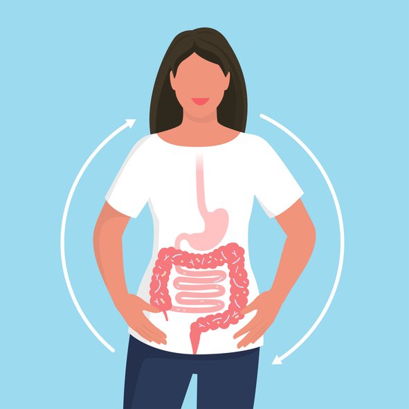 graphic of woman and her digestive system