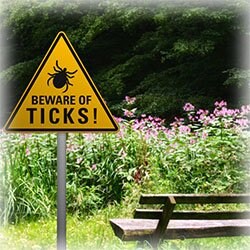 Photo of Beware of Tick sign