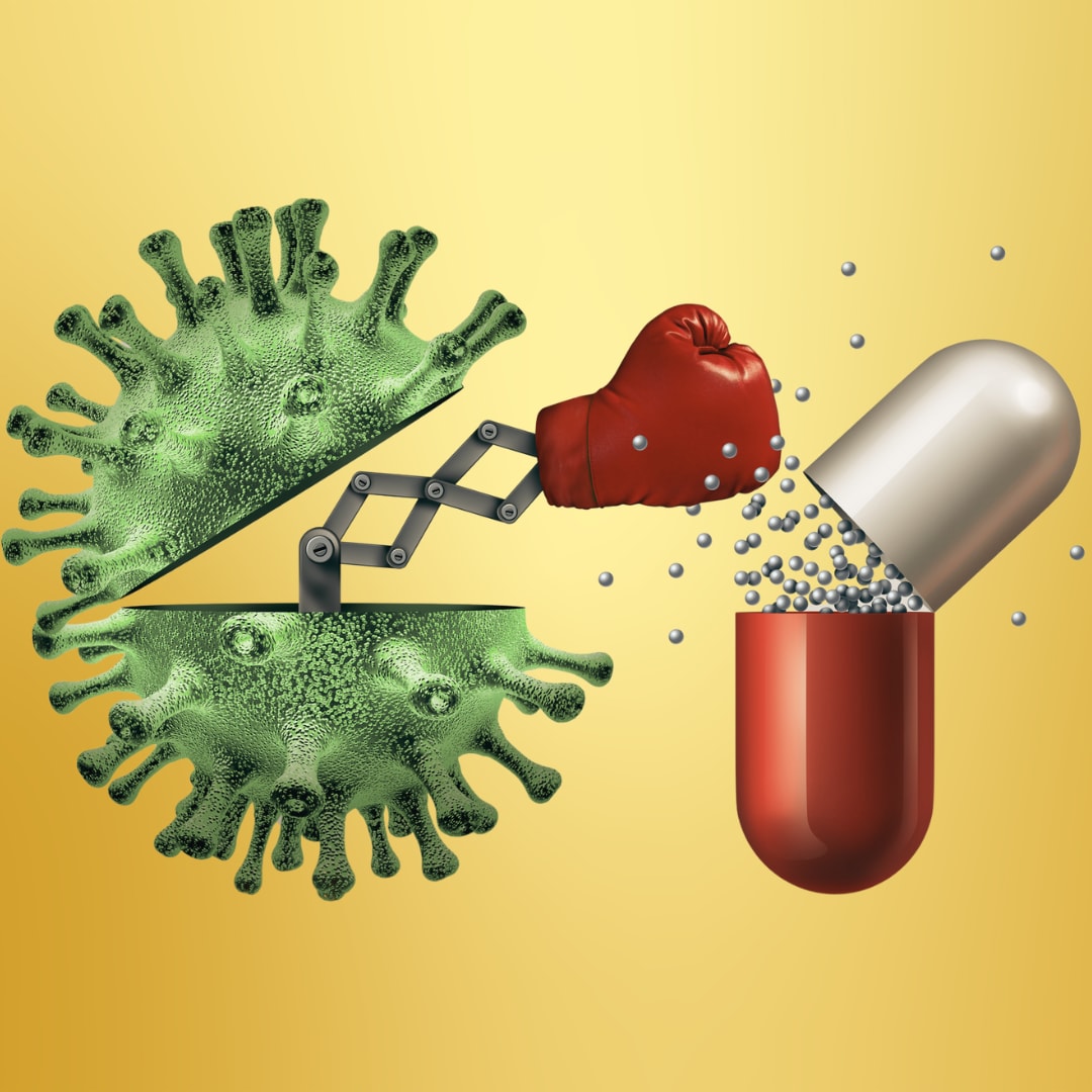 graphic of a bacteria punching a antibiotic with a boxing glove